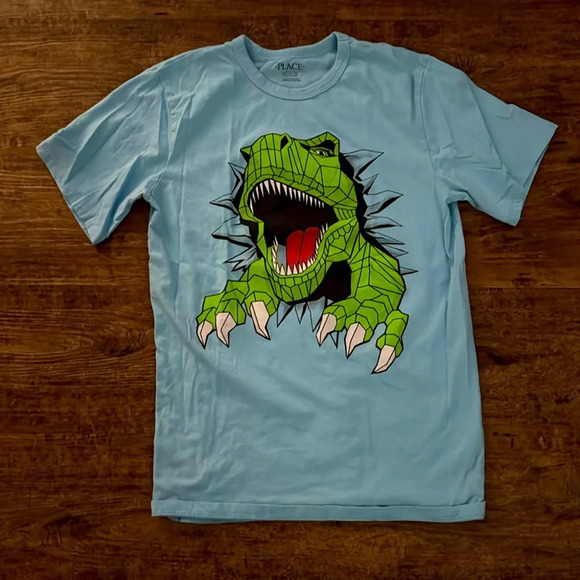 Dinosaur 🦖 tee boys size 14 - Picture 1 of 2
